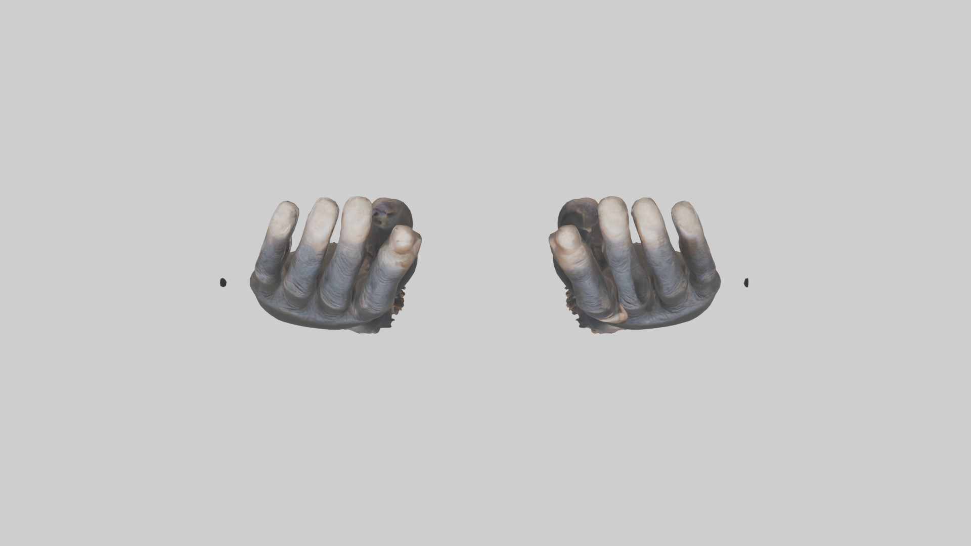 Chimpanzee Hands 3D model_14