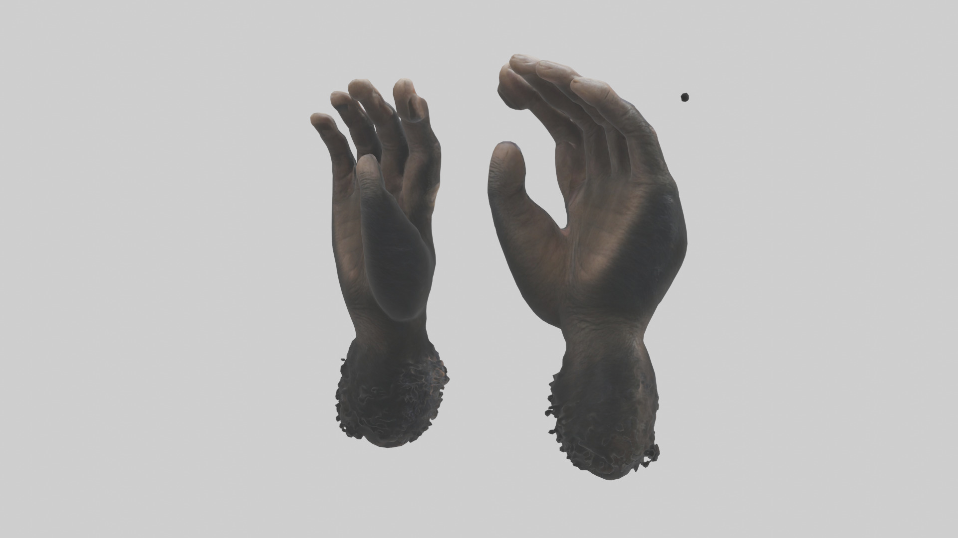 Chimpanzee Hands 3D model_2