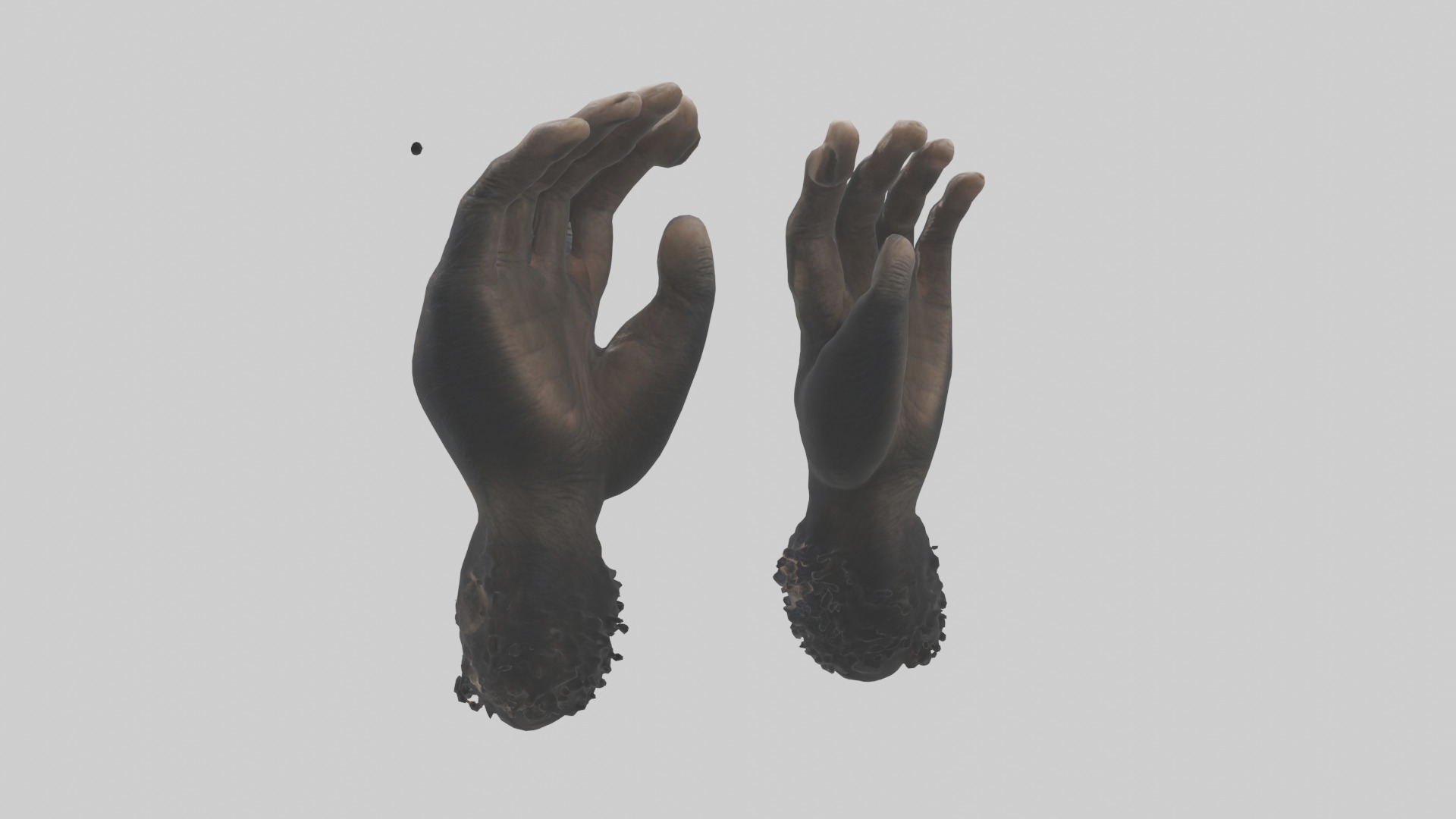 Chimpanzee Hands 3D model_1