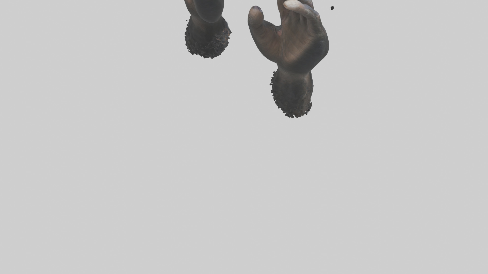 Chimpanzee Hands 3D model_4