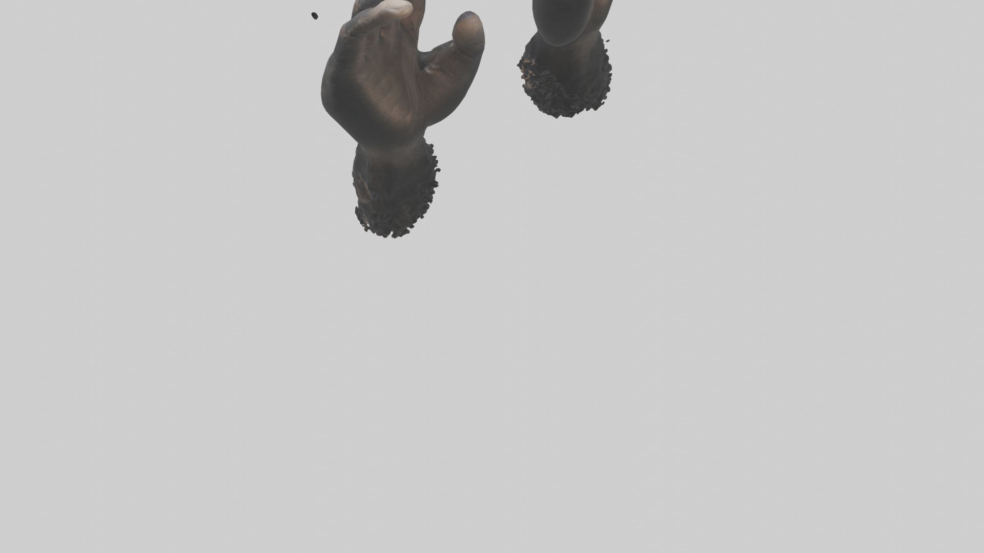 Chimpanzee Hands 3D model_3