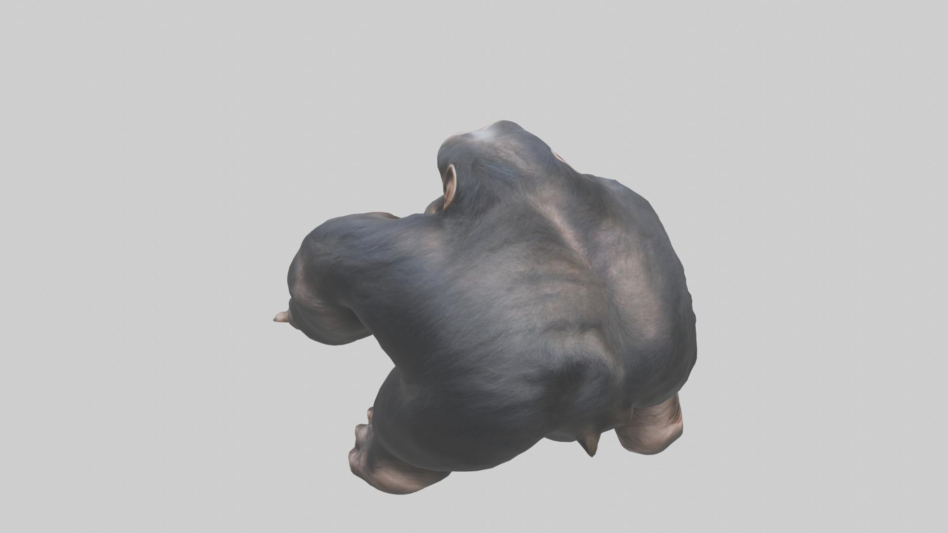 Chimpanzee Paws 3D model_15