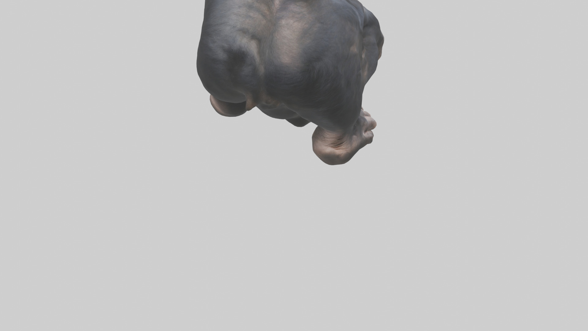 Chimpanzee Paws 3D model_4