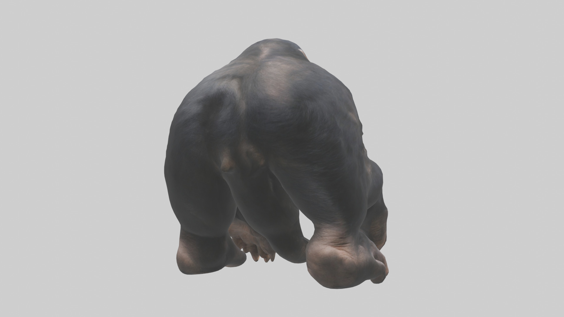Chimpanzee Paws 3D model_2
