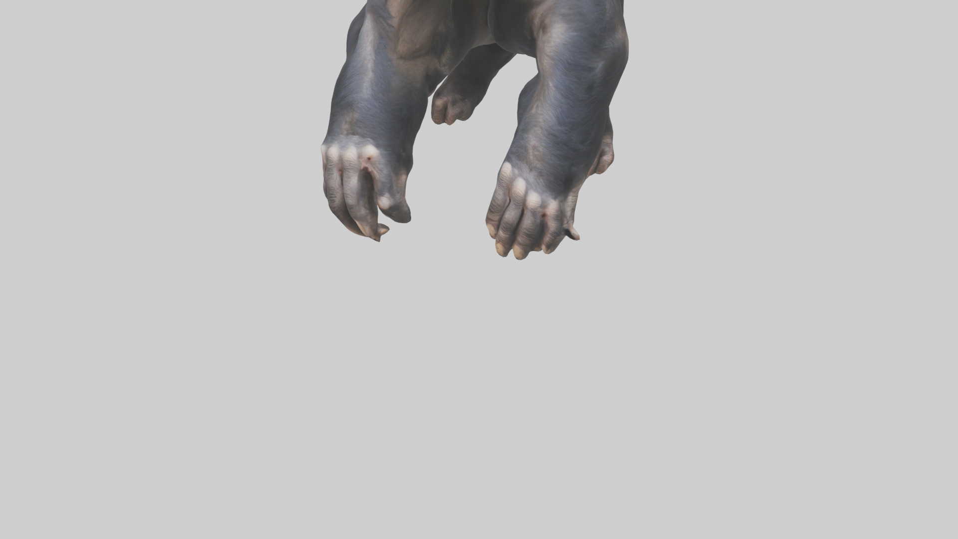 Chimpanzee Paws 3D model_5
