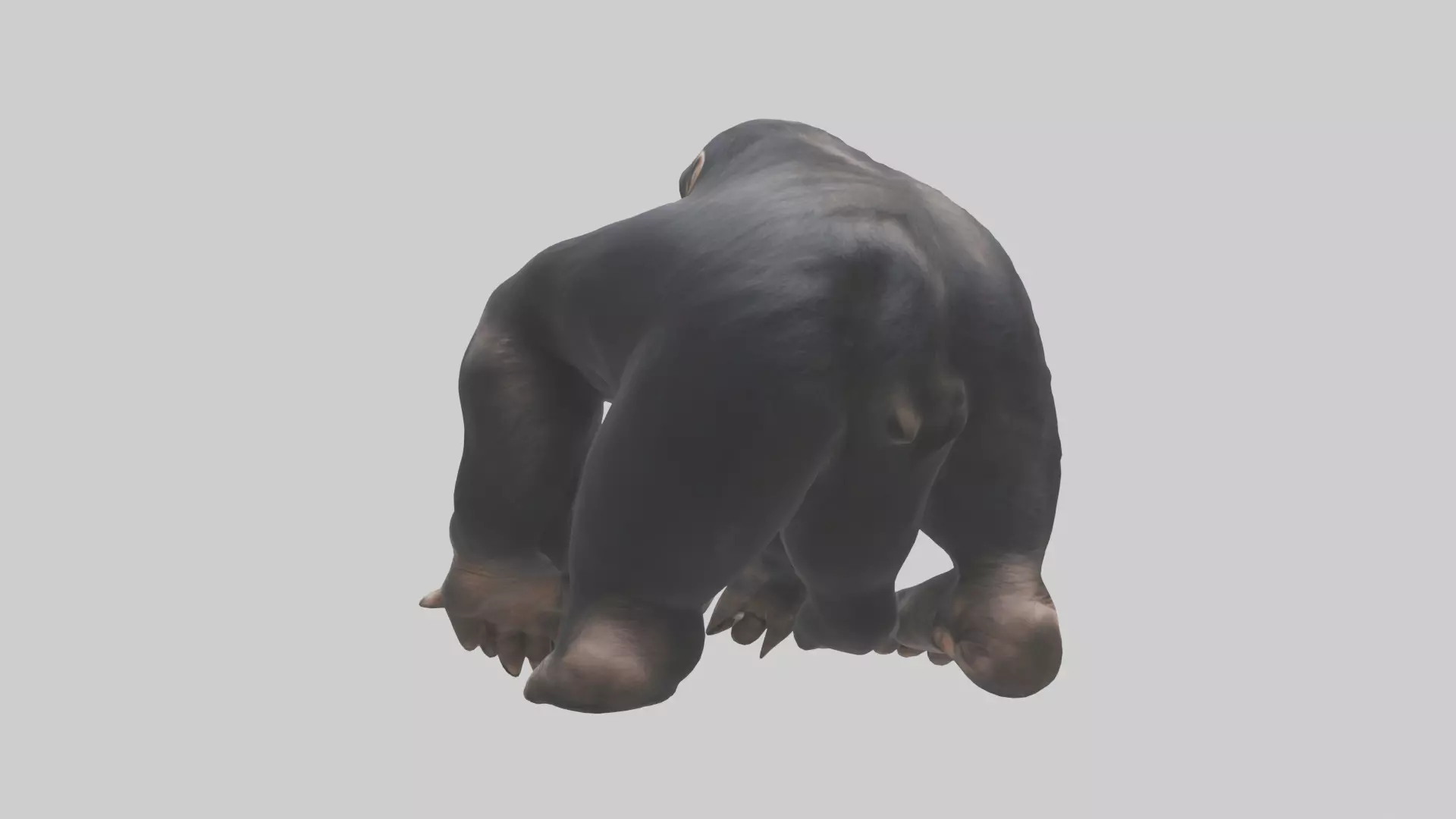 Chimpanzee Paws 3D model_0
