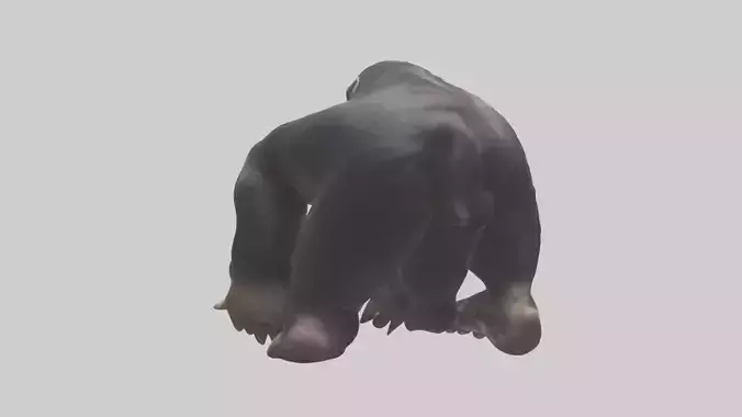 Chimpanzee Paws 3D model