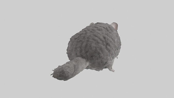 Chinchilla climbing model 3D model