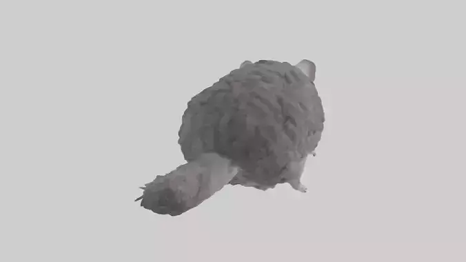 Chinchilla climbing model