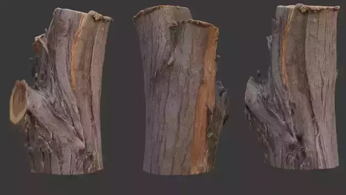 Realistic Tree Trunk - 3D Scanned Model Low-poly 3D model