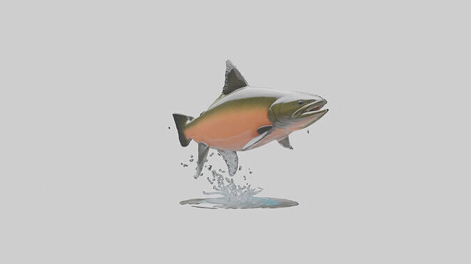 Chinook Salmon jumping upstream model 3D model 3