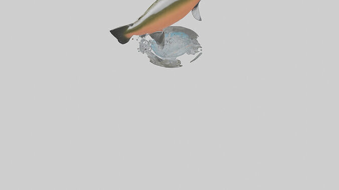 Chinook Salmon jumping upstream model 3D model 4