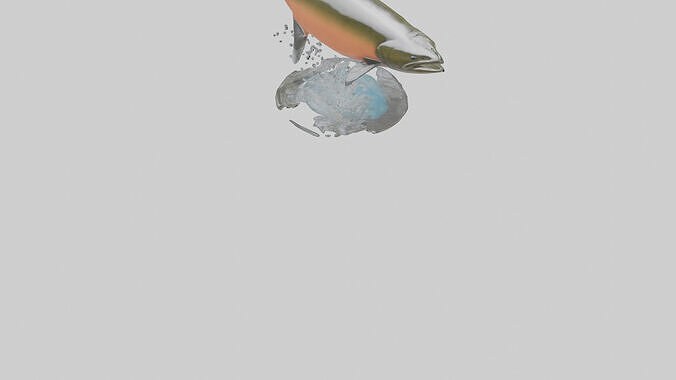 Chinook Salmon jumping upstream model 3D model 5