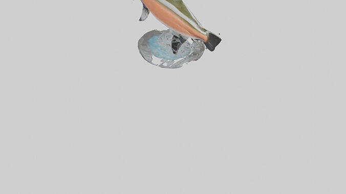 Chinook Salmon jumping upstream model 3D model 6