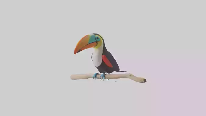 Toucan perched model