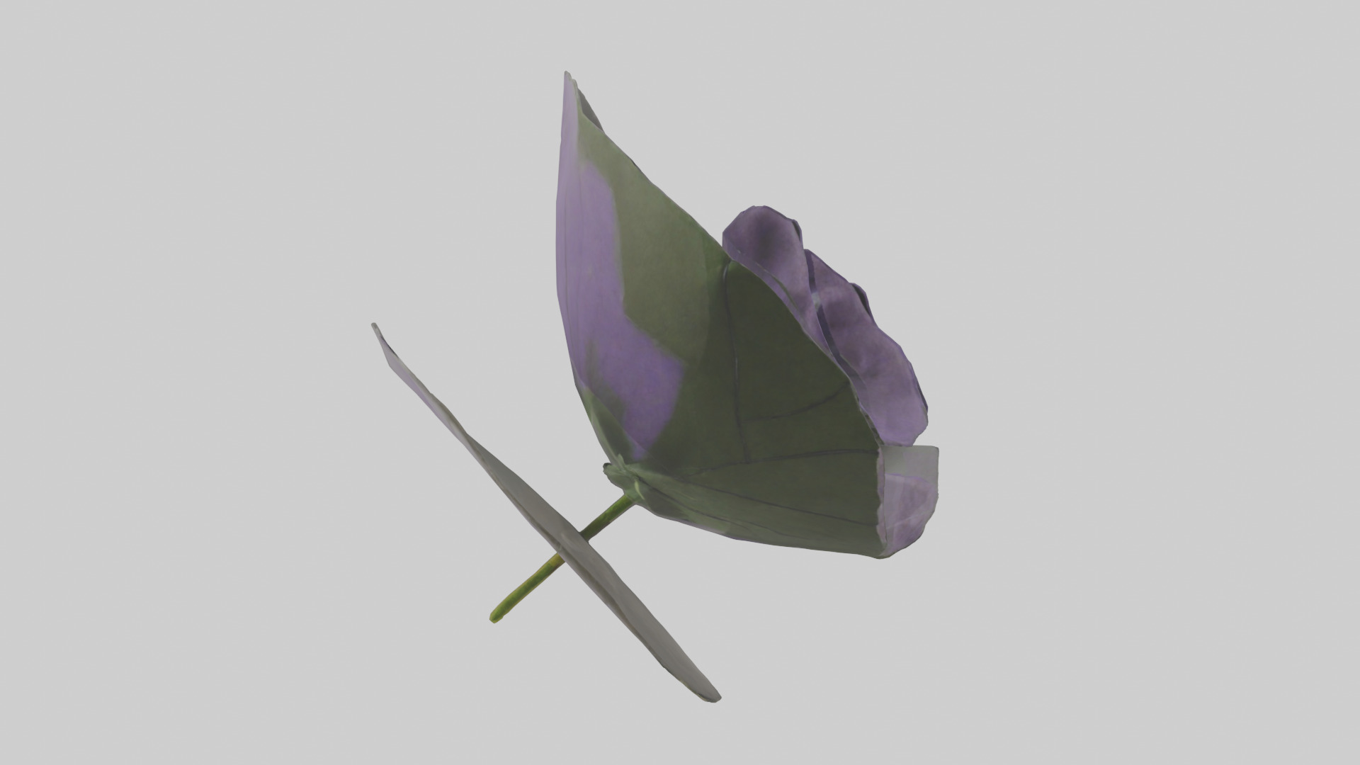 Torenia model Low-poly 3D model_9
