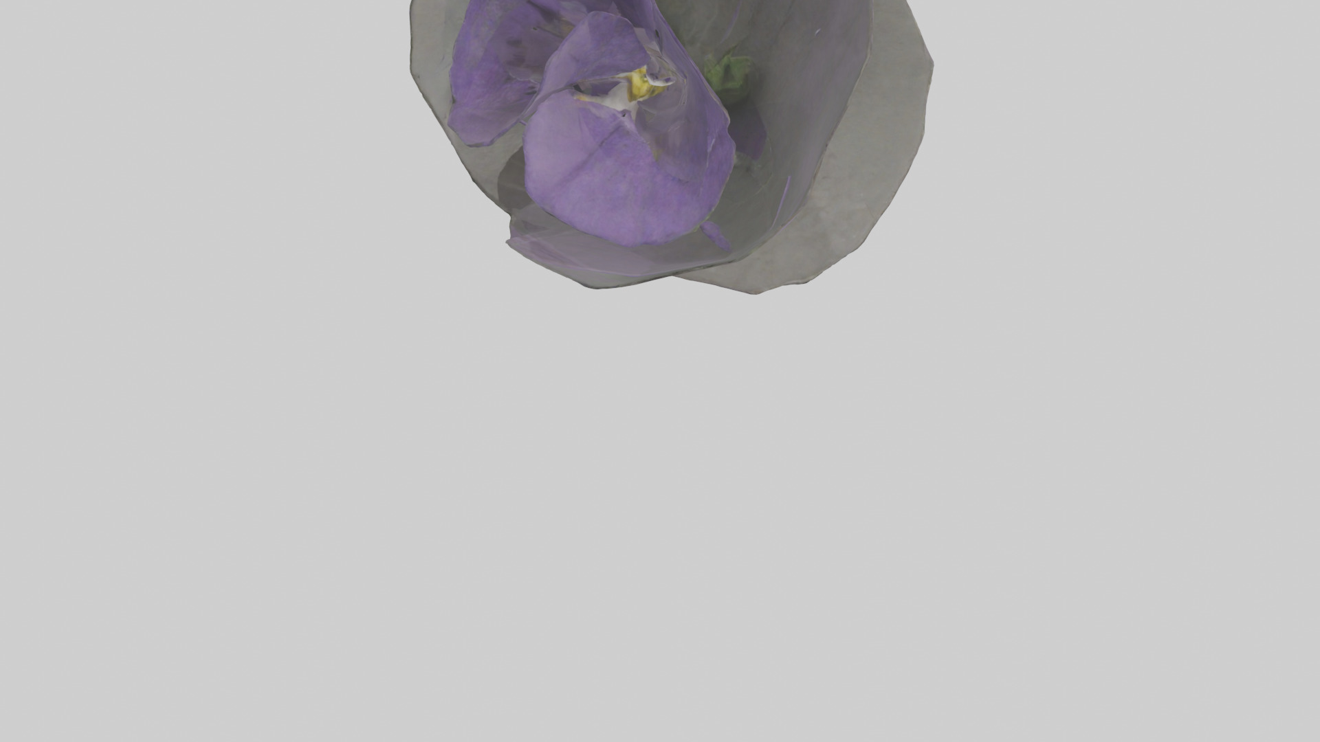 Torenia model Low-poly 3D model_4
