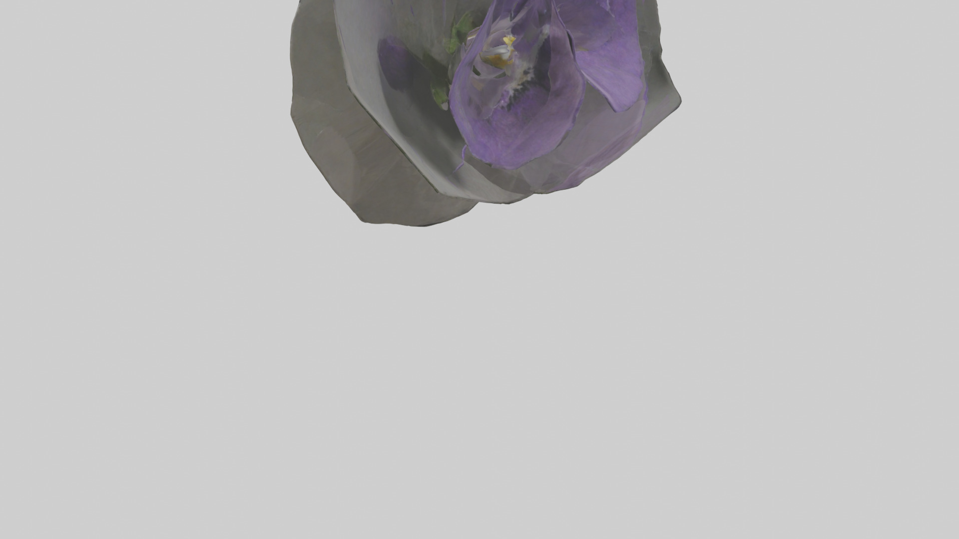 Torenia model Low-poly 3D model_6