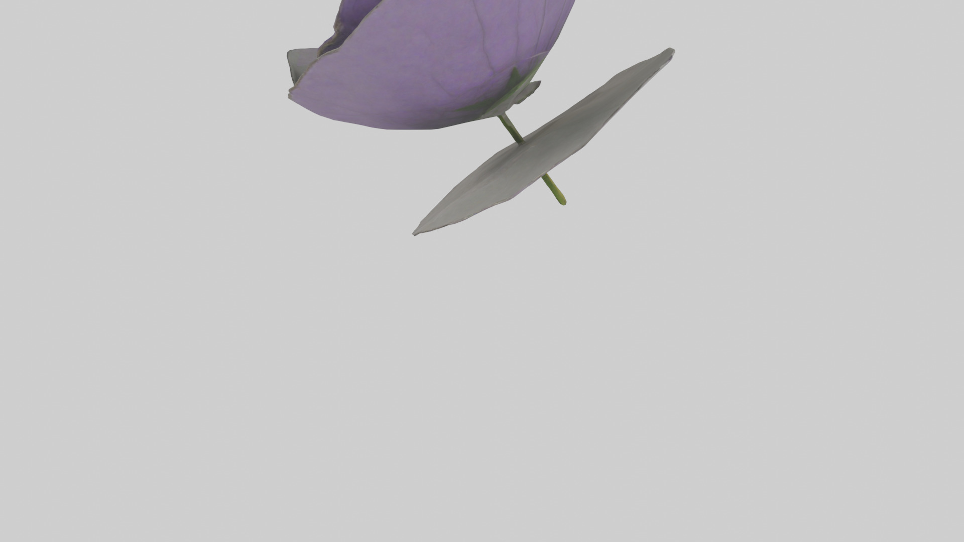 Torenia model Low-poly 3D model_5