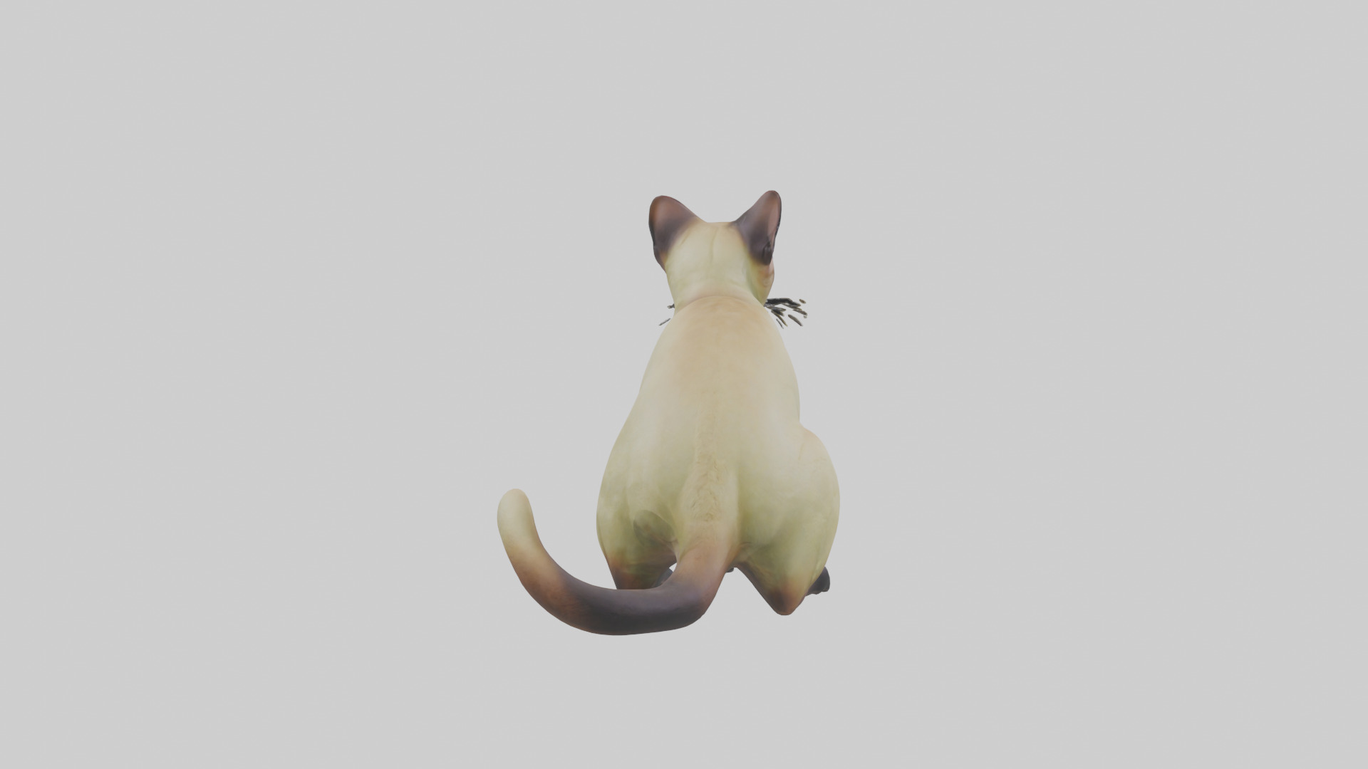 Tonkinese Cat statue model Low-poly 3D model_2