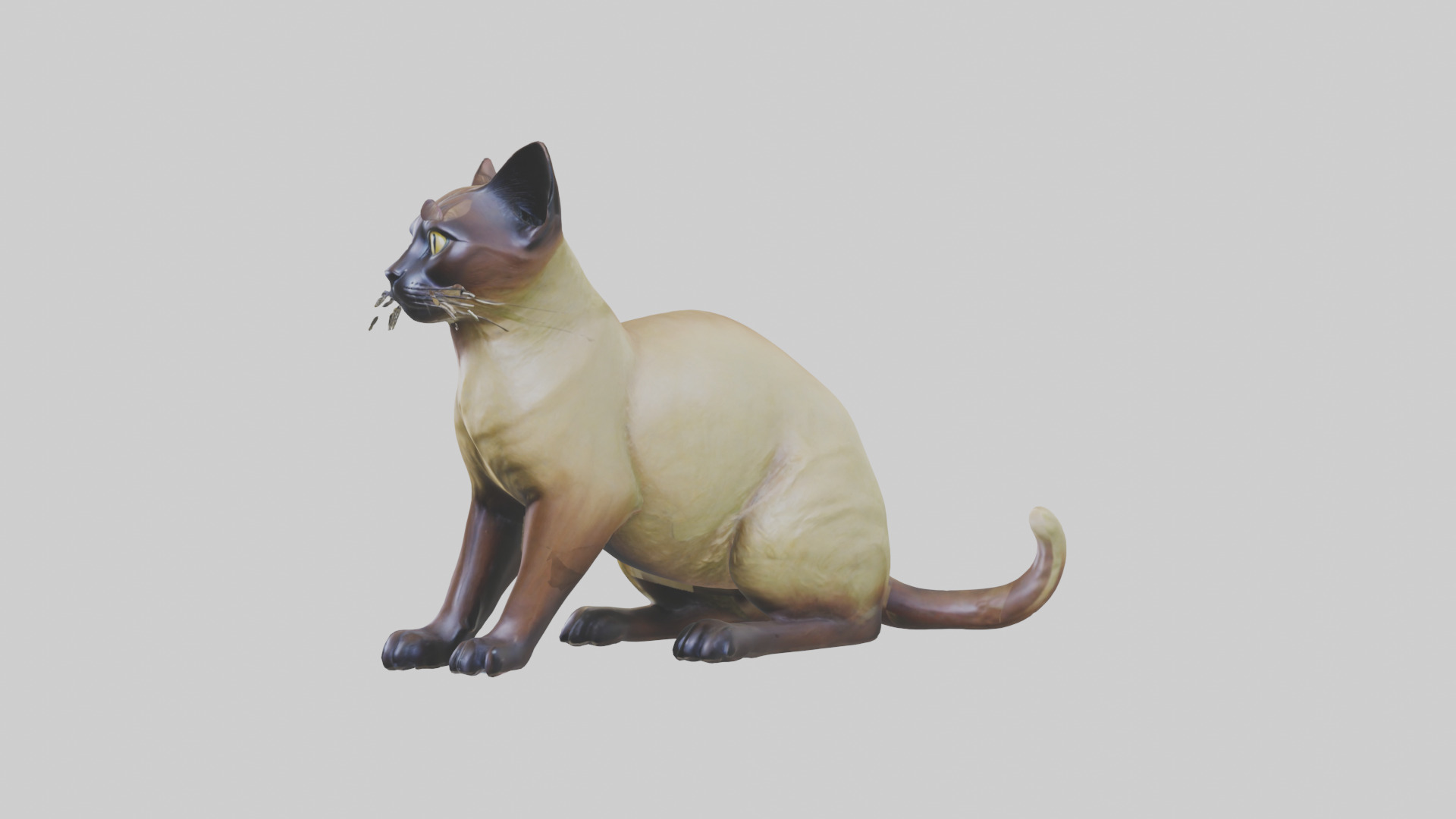 Tonkinese Cat statue model Low-poly 3D model_10