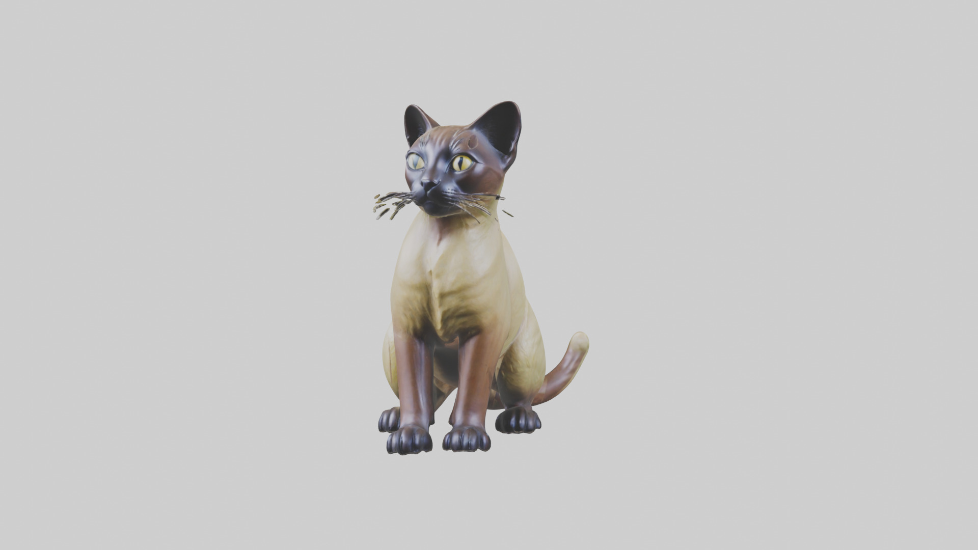 Tonkinese Cat statue model Low-poly 3D model_9