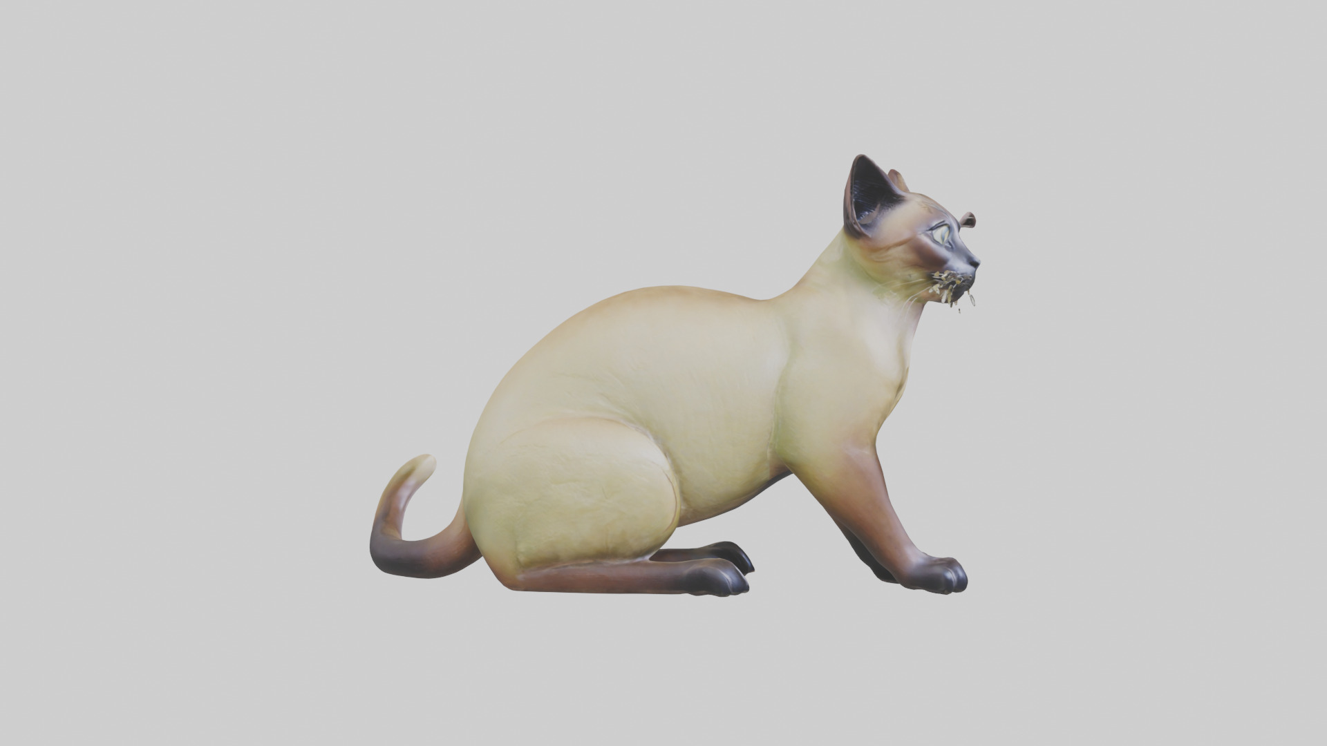 Tonkinese Cat statue model Low-poly 3D model_13