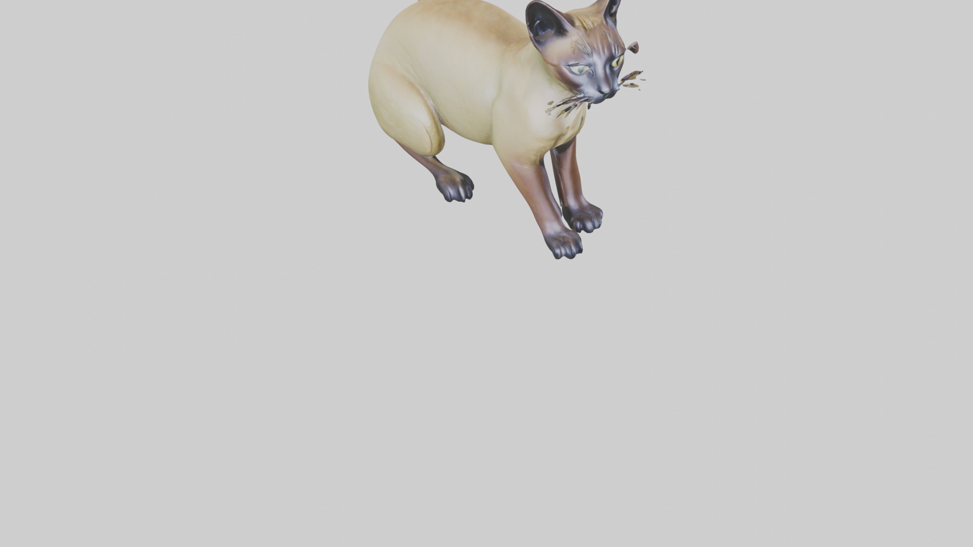 Tonkinese Cat statue model Low-poly 3D model_8