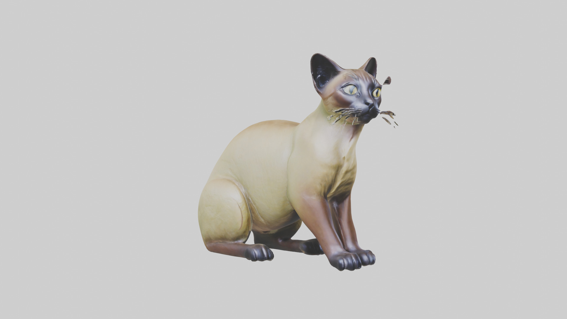 Tonkinese Cat statue model Low-poly 3D model_1