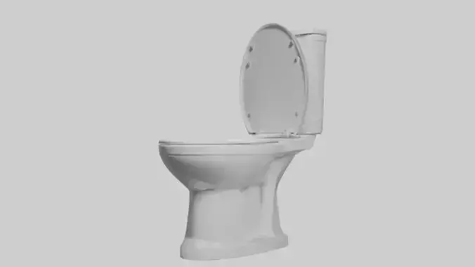 Toilet model