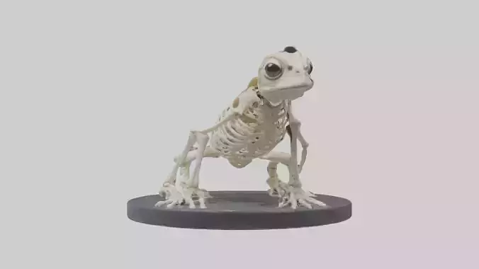 Toad Skeleton model