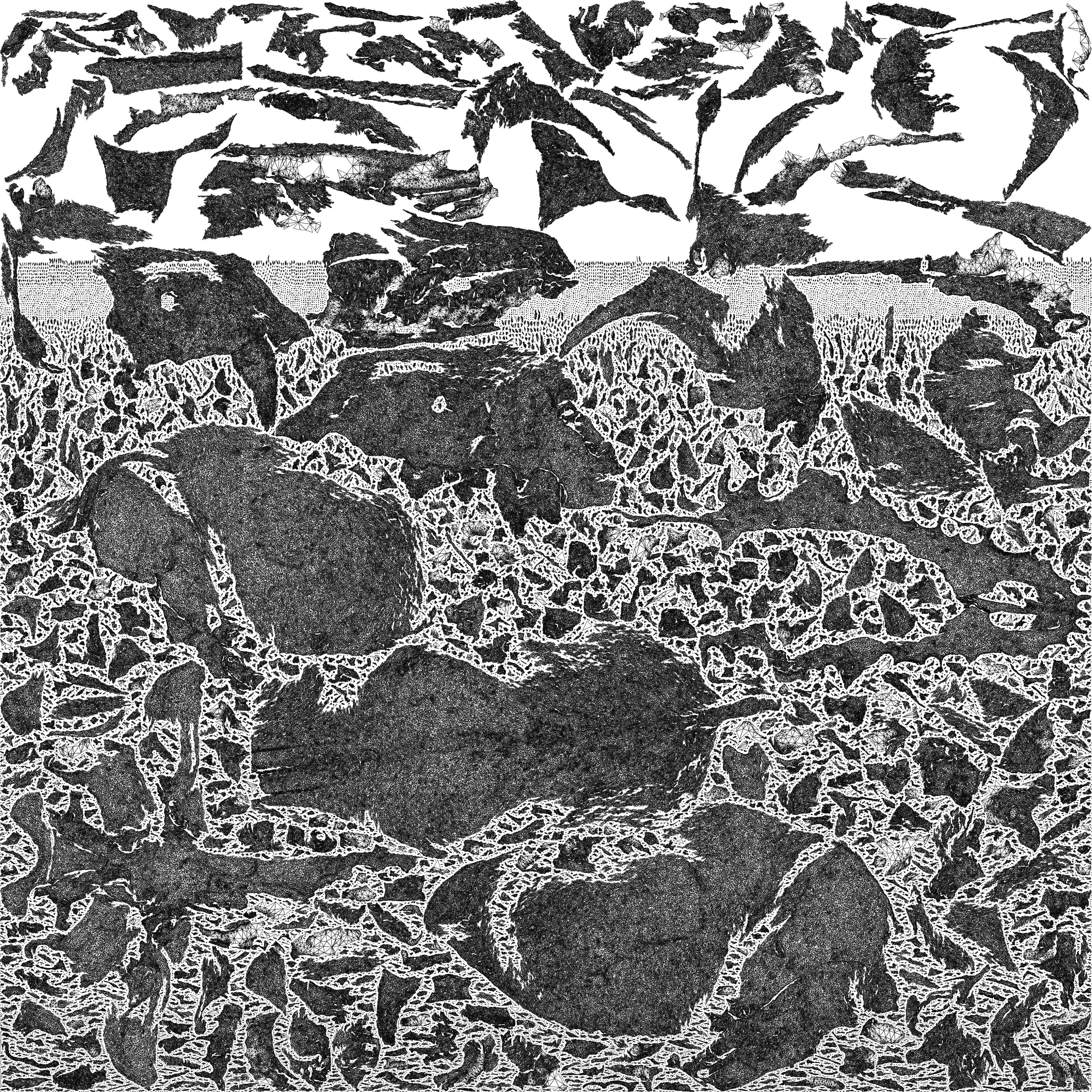 Canine Skull 3D model_31