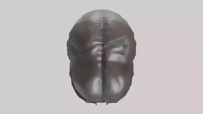 Chris Evans statue model