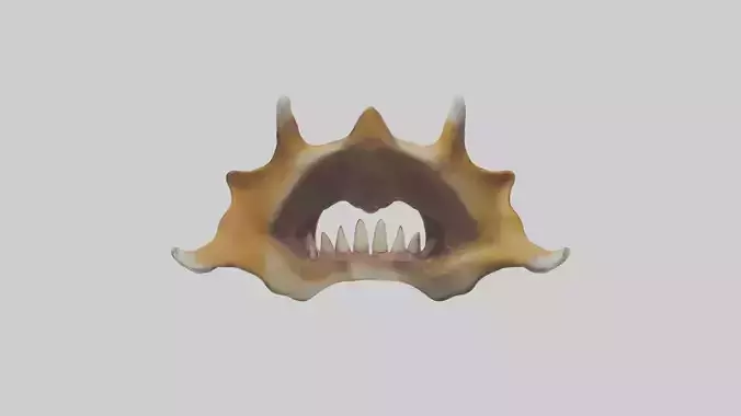 Tiger Teeth