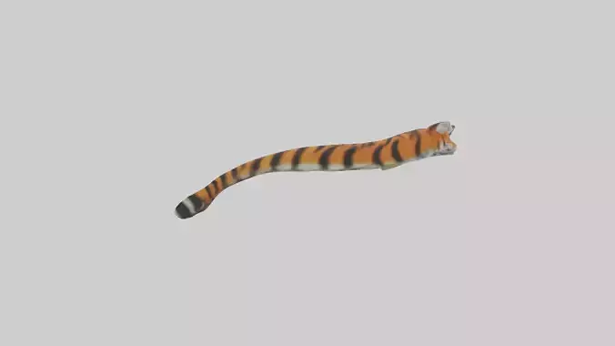 Tiger Tail