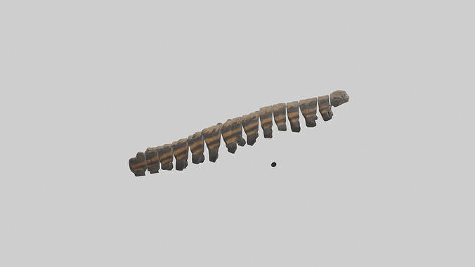 Tiger Spine Low-poly 3D model