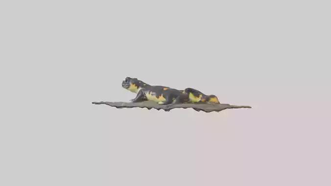 Tiger Salamander burrowing model Low-poly 3D model
