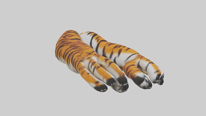 Tiger Paws Model Low-poly 3D model