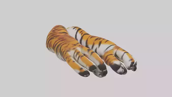 Tiger Paws Model