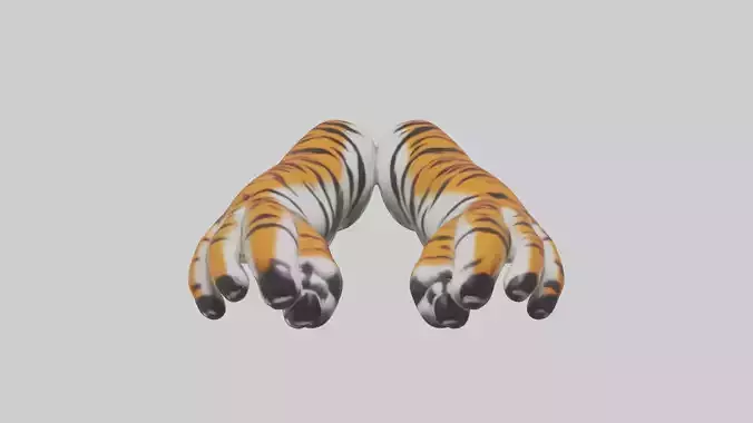 Tiger Paws