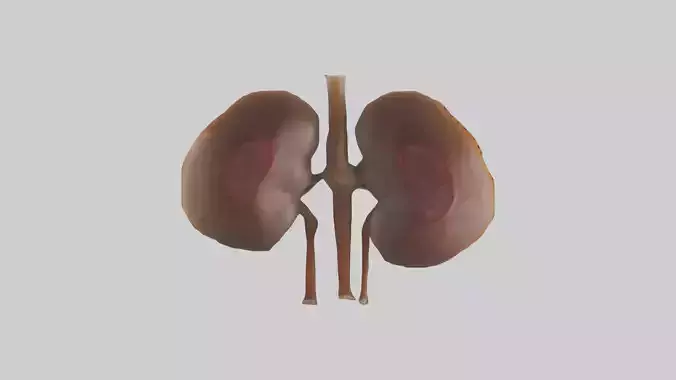 Tiger Kidneys