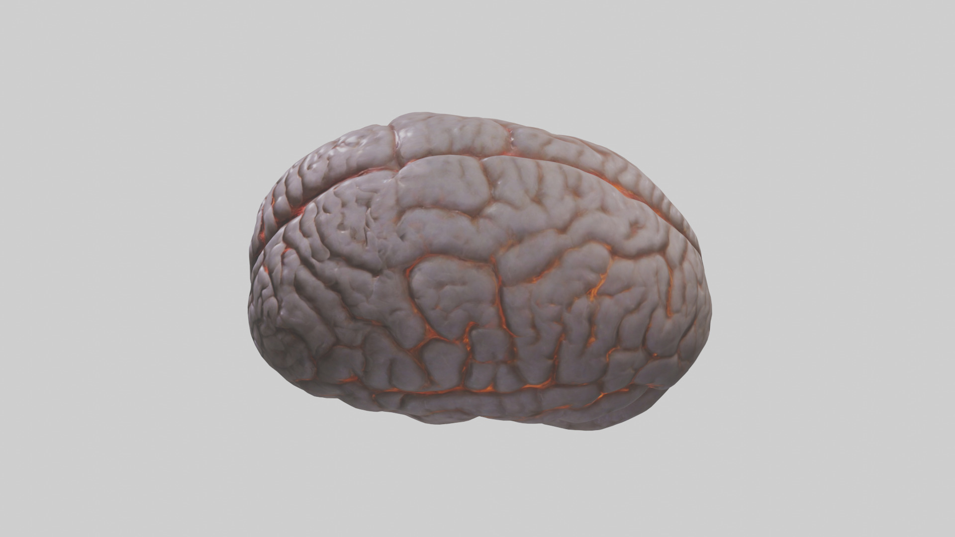 Tiger Brain Low-poly 3D model_17