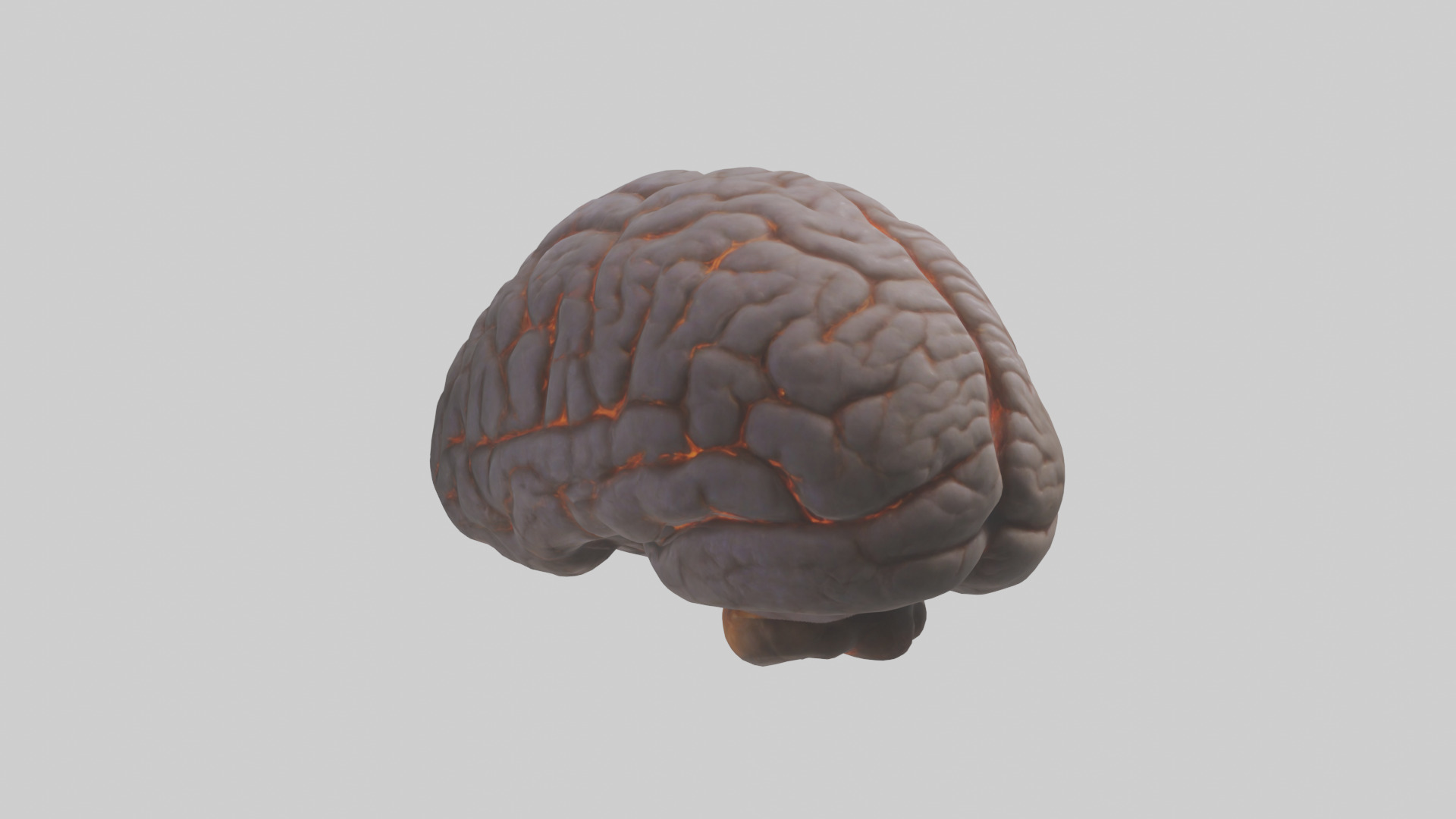 Tiger Brain Low-poly 3D model_3
