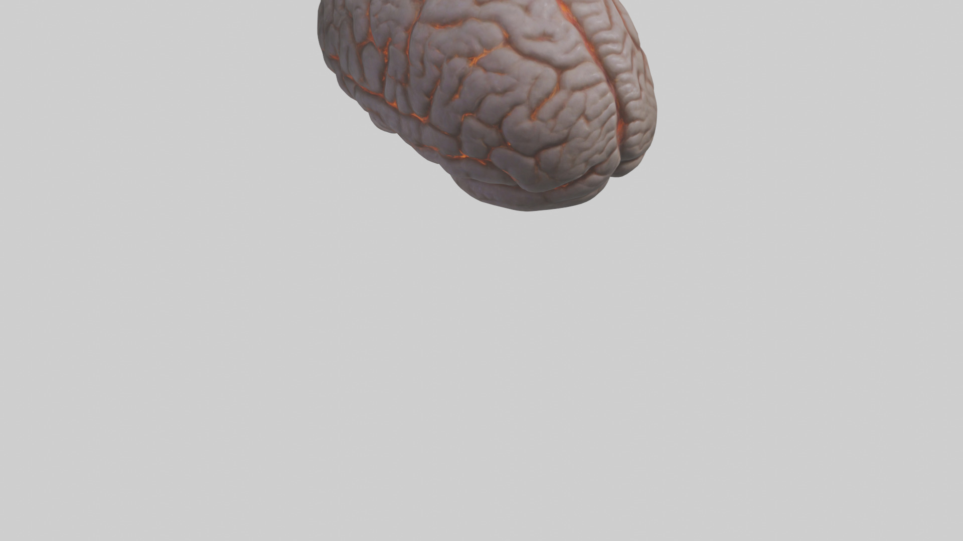 Tiger Brain Low-poly 3D model_5
