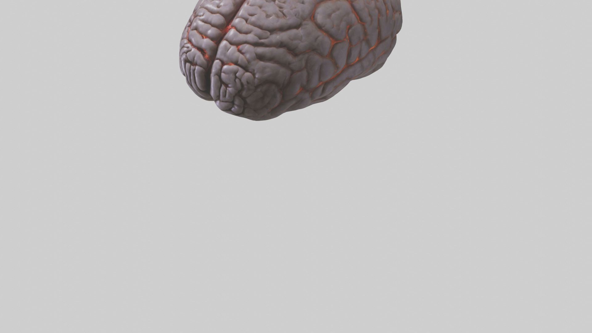 Tiger Brain Low-poly 3D model_7