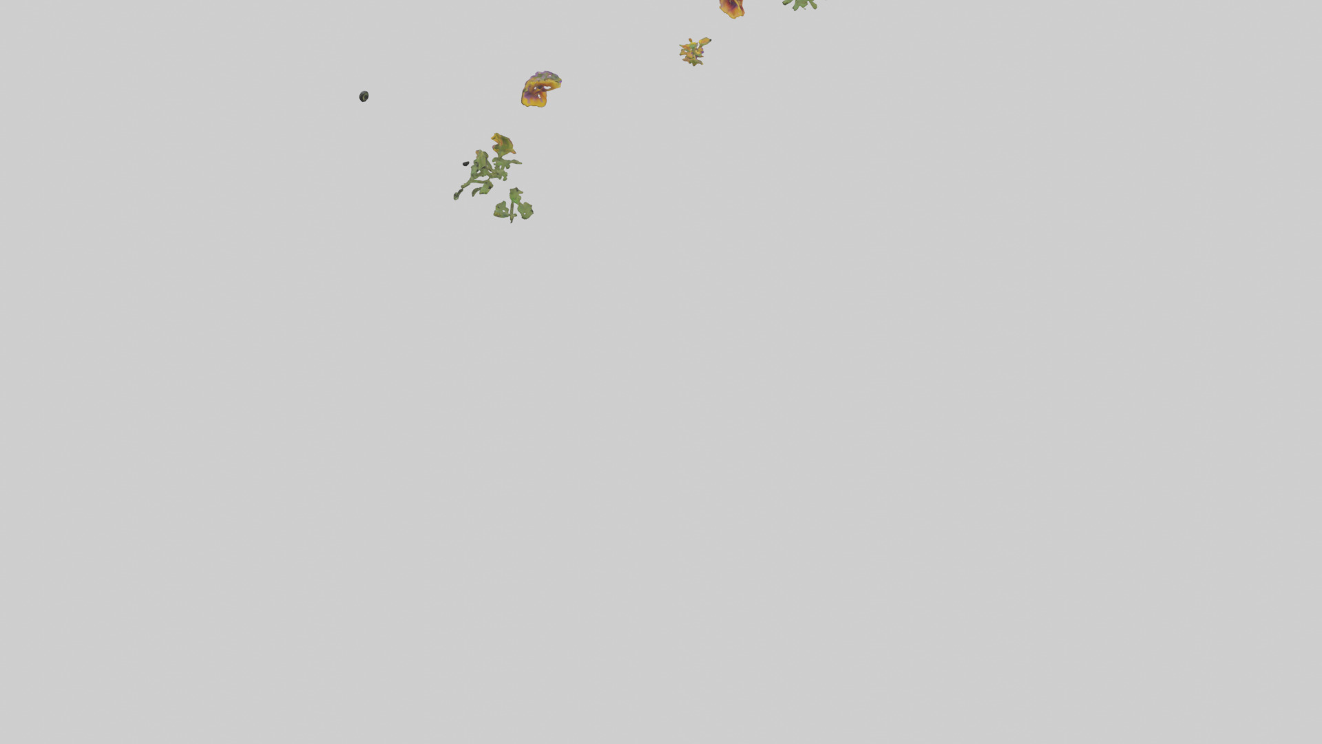 Thunbergia model Low-poly 3D model_3