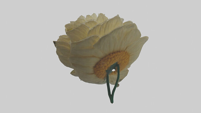 Chrysanthemum model 3D model