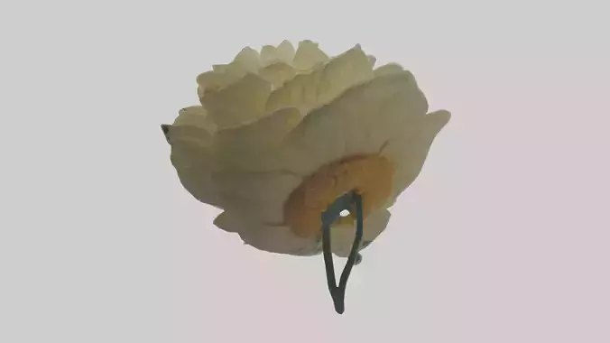 Chrysanthemum model 3D model