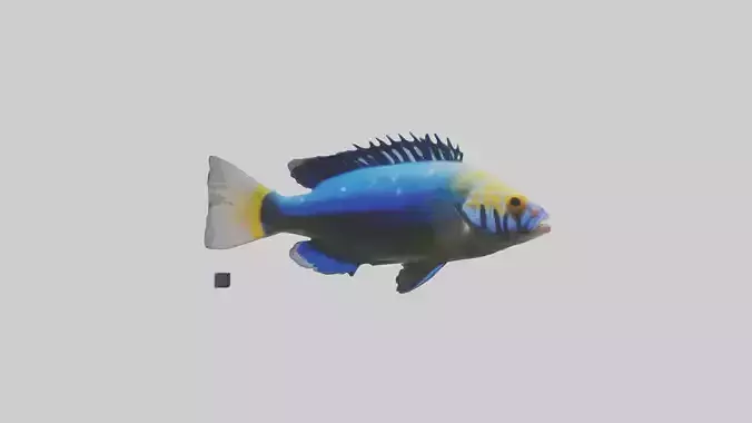 Cichlid darting model