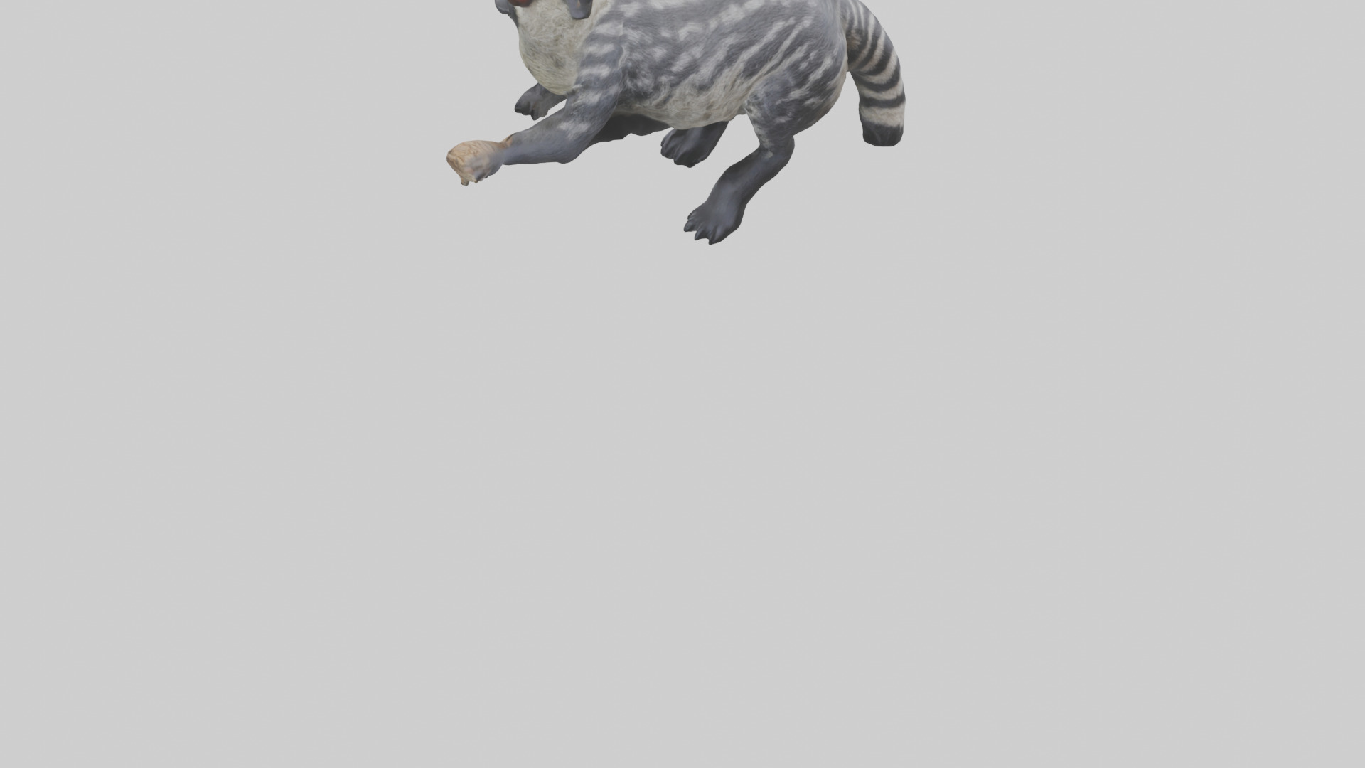 Civet climbing tree model 3D model_3